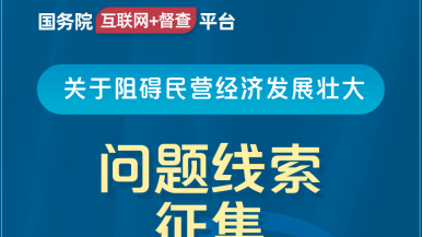 大吊操人网站国务院“互联网+督查”平台公开征集阻碍民营经济发展壮大问题线索